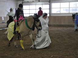 DSC_0922_web